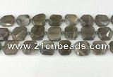 CNG8810 15.5 inches 16mm - 20mm faceted freeform moonstone beads