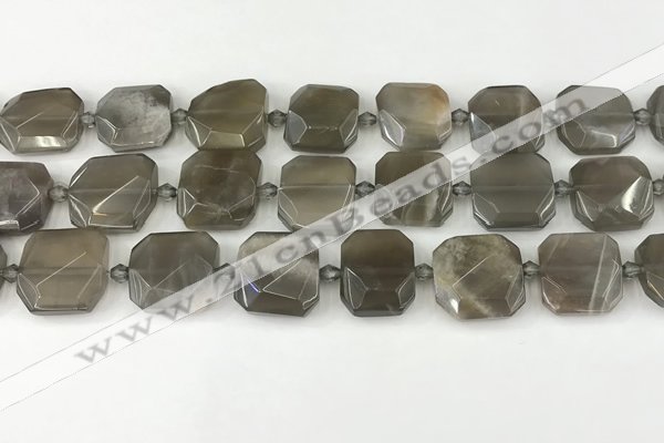 CNG8810 15.5 inches 16mm - 20mm faceted freeform moonstone beads