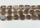 CNG8811 15.5 inches 16mm - 20mm faceted freeform moonstone beads