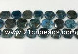 CNG8821 15.5 inches 16mm - 20mm faceted freeform apatite beads
