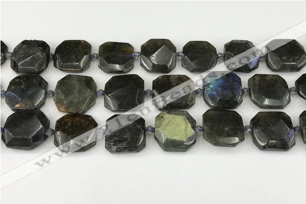 CNG8824 15.5 inches 16mm - 20mm faceted freeform labradorite beads