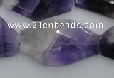 CNG893 15.5 inches 22*30mm faceted freeform dogtooth amethyst beads