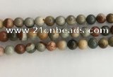 CNI372 15.5 inches 10mm round American picture jasper beads