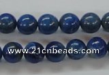 CNL213 15.5 inches 10mm round natural lapis lazuli beads wholesale