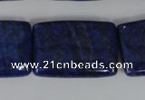 CNL537 15.5 inches 20*30mm rectangle natural lapis lazuli gemstone beads