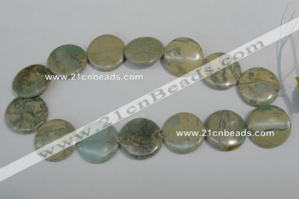 CNS235 15.5 inches 30mm flat round natural serpentine jasper beads