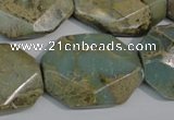 CNS263 15.5 inches 22*30mm octagonal natural serpentine jasper beads