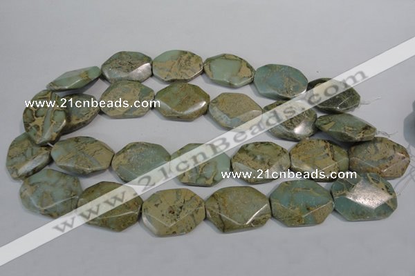 CNS263 15.5 inches 22*30mm octagonal natural serpentine jasper beads