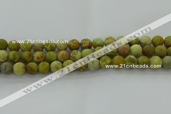 CNS653 15.5 inches 12mm round matte green dragon serpentine jasper beads