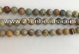 CNS703 15.5 inches 10mm round serpentine jasper beads wholesale