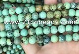 CNT404 15.5 inches 8mm round natural turquoise beads wholesale