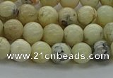 COP1461 15.5 inches 6mm round African opal gemstone beads