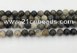 COP1603 15.5 inches 10mm round moss opal beads wholesale