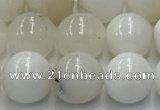 COP1731 15.5 inches 8mm round white opal beads wholesale