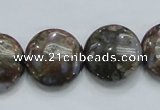 COP251 15.5 inches 20mm flat round natural grey opal gemstone beads