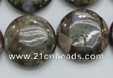 COP252 15.5 inches 25mm flat round natural grey opal gemstone beads