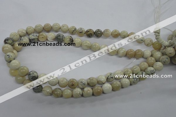 COP803 15.5 inches 10mm round natural African opal beads