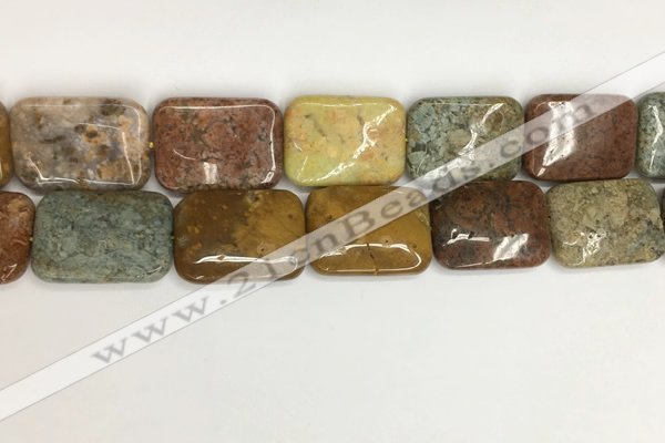 COS256 15.5 inches 22*30mm rectangle ocean stone beads wholesale