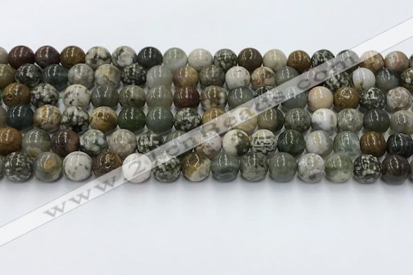 COS307 15.5 inches 8mm round ocean jasper beads wholesale