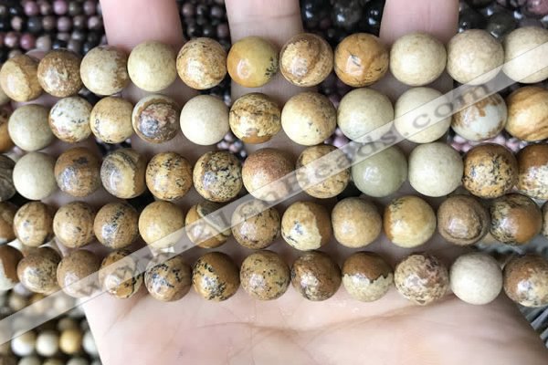 CPJ661 15.5 inches 10mm round picture jasper beads wholesale