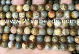 CPJ709 15.5 inches 10mm round rocky butte picture jasper beads