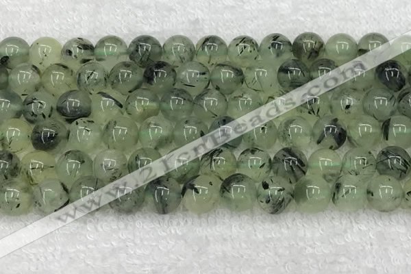 CPR393 15.5 inches 12mm round prehnite beads wholesale