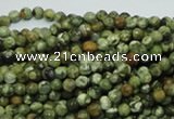 CPS54 15.5 inches 4mm faceted round green peacock stone beads