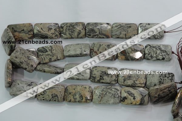 CPT131 15.5 inches 20*30mm faceted rectangle grey picture jasper beads