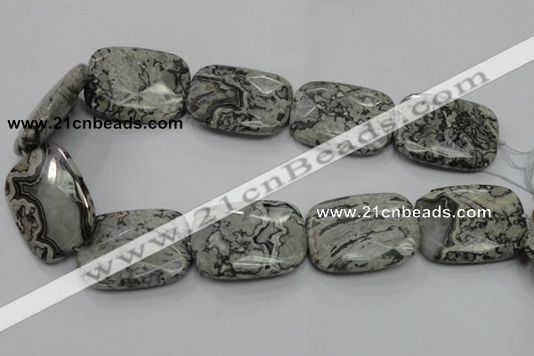 CPT133 15.5 inches 30*40mm faceted rectangle grey picture jasper beads