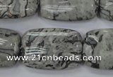 CPT182 15.5 inches 20*30mm rectangle grey picture jasper beads