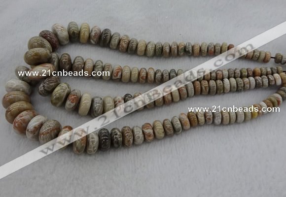 CRB1109 15.5 inches 5*8mm - 9*18mm rondelle chrysanthemum agate beads