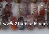 CRB1381 15.5 inches 6*10mm faceted rondelle botswana agate beads