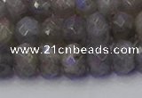 CRB1854 15.5 inches 6*10mm faceted rondelle labradorite beads