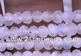 CRB1964 15.5 inches 2*3mm faceted rondelle white moonstone beads