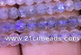 CRB1980 15.5 inches 3*4mm faceted rondelle labradorite beads