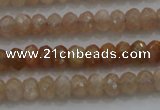 CRB224 15.5 inches 2.5*4mm faceted rondelle moonstone beads