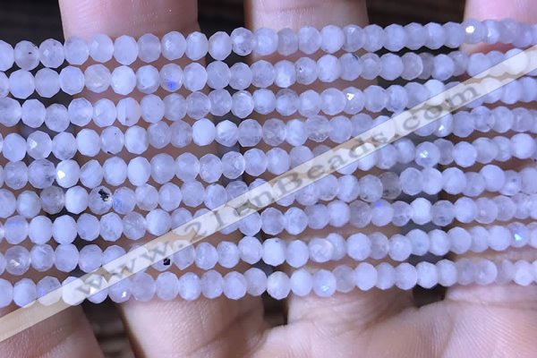 CRB2623 15.5 inches 2*3mm faceted rondelle white moonstone beads