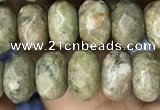 CRB4117 15.5 inches 5*8mm faceted rondelle Chinese unakite beads