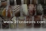 CRB495 15.5 inches 6*12mm tyre botswana agate beads wholesale