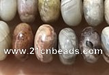 CRB5337 15.5 inches 5*8mm rondelle Mexican crazy lace agate beads