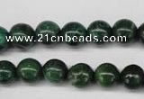 CRJ303 15.5 inches 10mm round African prase jasper beads wholesale