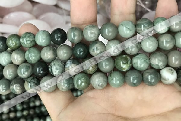 CRM203 15.5 inches 10mm round green mud jasper beads wholesale