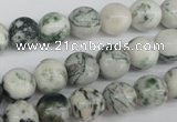 CRO200 15.5 inches 10mm round tree agate beads wholesale