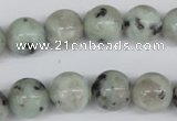 CRO314 15.5 inches 12mm round kiwi stone beads wholesale