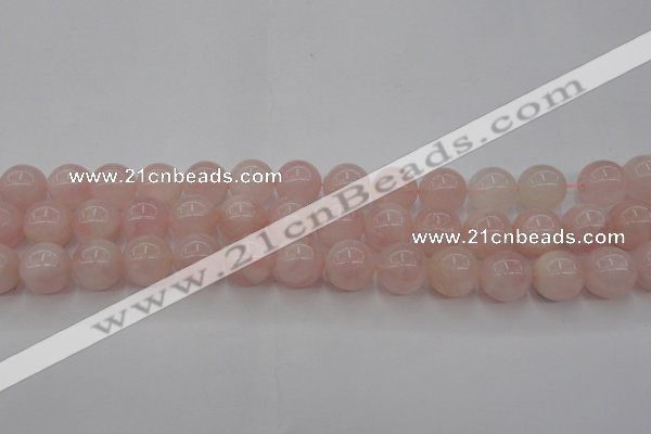 CRQ672 15.5 inches 10mm round rose quartz beads wholesale