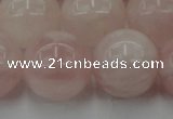 CRQ675 15.5 inches 16mm round rose quartz beads wholesale