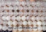 CRQ925 15 inches 10mm round natural rose quartz beads wholesale
