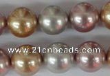 CSB103 15.5 inches 16mm round mixed color shell pearl beads