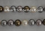 CSB1031 15.5 inches 8mm round mixed color shell pearl beads