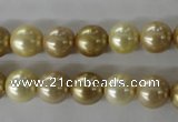 CSB1069 15.5 inches 10mm round mixed color shell pearl beads